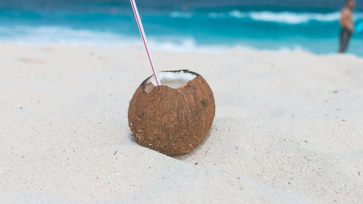 Cara Menyimpan Air Kelapa di Kulkas agar Tetap Awet Tanpa Perlu Membekukannya