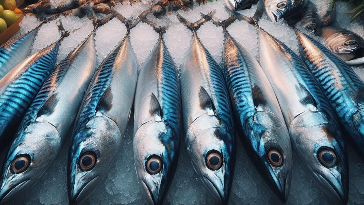 Pakar Gizi Sebut Kandungan DHA dari Ikan Tak Tergantikan oleh Sumber ...