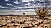 Ilustrasi Liputan Khusus El Nino