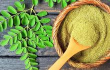 Melancarkan Produksi ASI Sampai Masker Kecantikan, Inilah Manfaat Daun Kelor untuk Wanita yang Jarang Diketahui