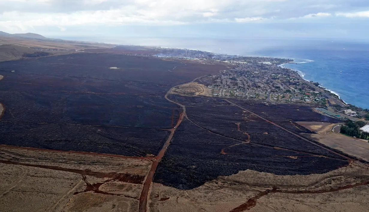 Pemerintah Maui County, Hawaii, menyatakan bahwa korban jiwa kebakaran lahan hebat yang melanda wilayah tersebut kini melonjak menjadi 67 korban, setelah sebelumnya baru tercatat 55 orang. (AP Photo/Rick Bowmer, File)