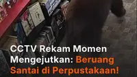 CCTV Rekam Momen Mengejutkan Beruang Santai di Perpustakaan!