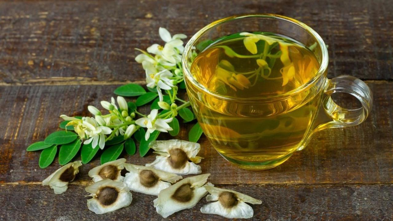 Nutrisi Sehat dalam Daun Kelor