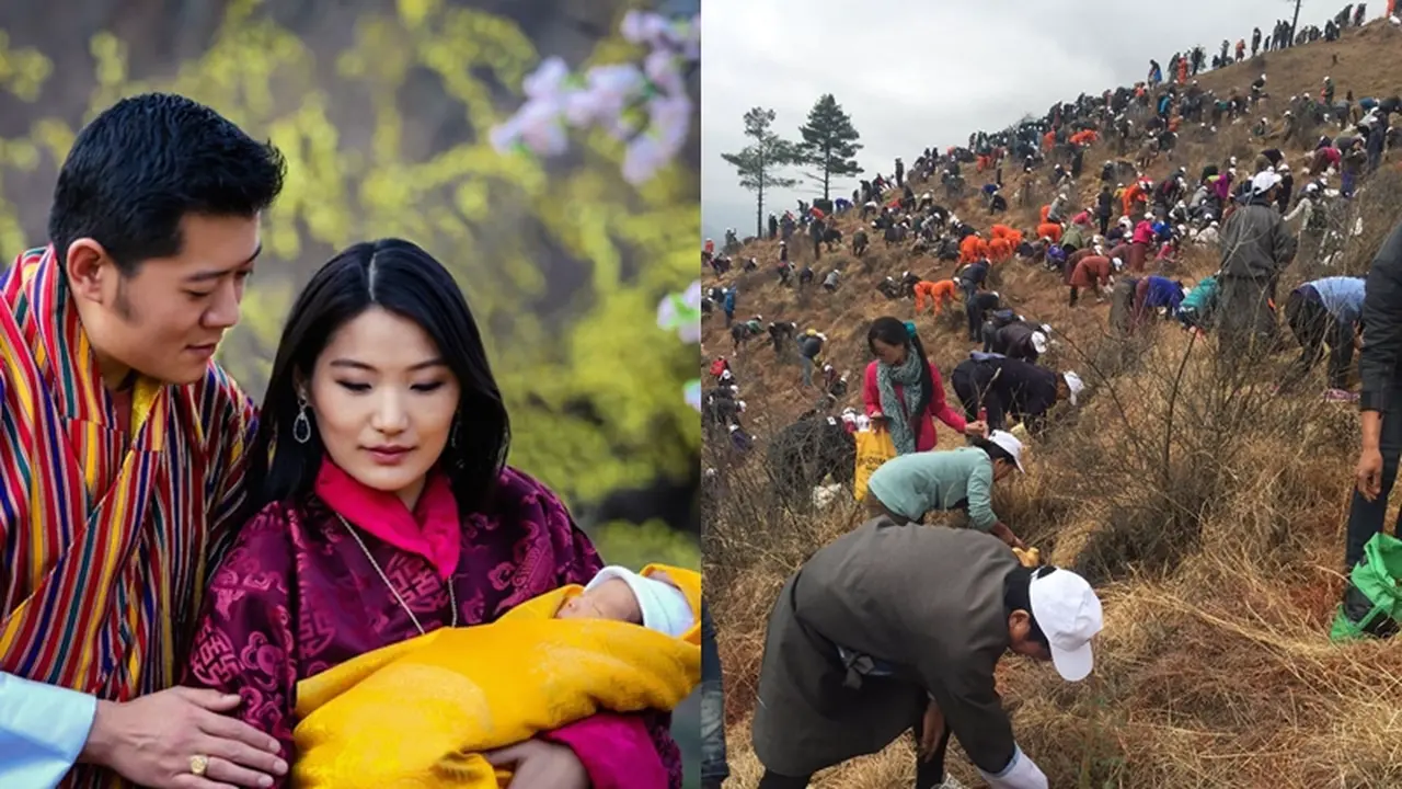 Rayakan Kelahiran Putra Mahkota Baru, Bhutan Tanam 108.000 Pohon