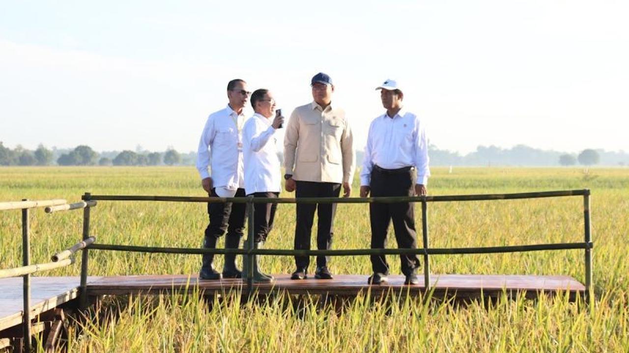 Rekor 7 Tahun! Produksi Beras Melonjak, Indonesia Selangkah Lagi Capai Swasembada Beras Indonesia