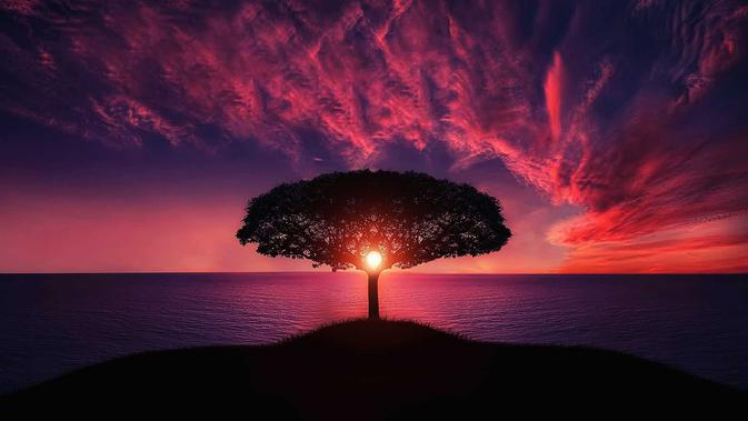 46 Kata Kata Simple Keren Tentang Senja Pemandangan Yang Menenangkan Hati Dan Pikiran Ragam Bola Com