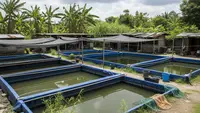7 Jenis Tanaman Air untuk Kolam Terpal: Bikin Kolam Ikan Sehat dan Estetik