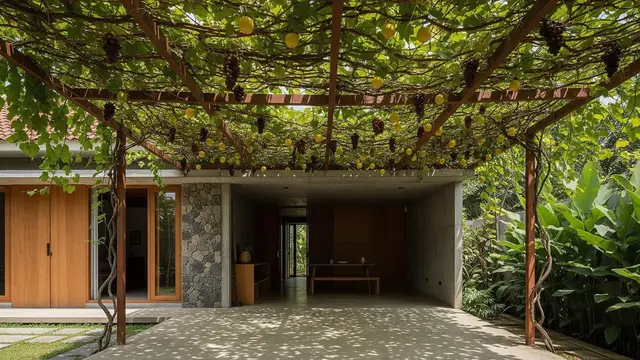 Desain Teras Sekaligus Carport dengan Tanaman Rambat