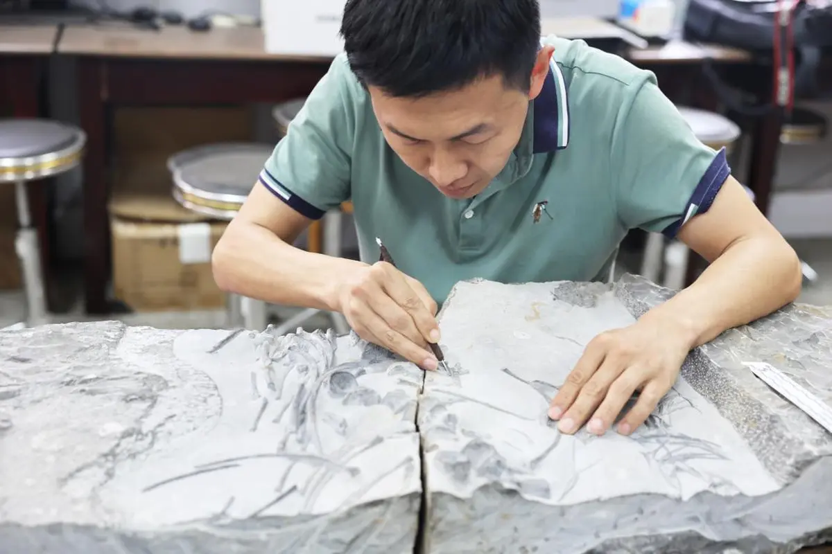 Restorasi fosil reptil laut di Wuhan