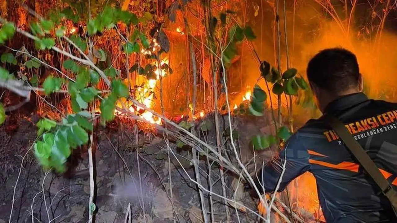 Proses pemadaman Gunung Buthak dari tim BPBD Ngawi.