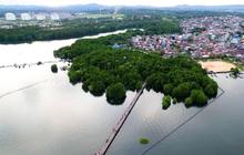 DPMPTSP Bontang Buka Peluang Investasi Hijau Wisata Edupark, Dorong Transformasi Ekonomi Kota Industri