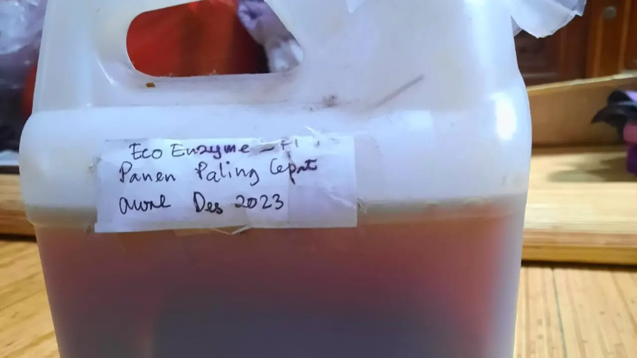 Hasil karya Lily Ulyani,  eco-enzyme, cairan hasil fermentasi limbah organik yang dapat digunakan untuk perawatan luka hingga pembersih rumah, kepada para tetangganya. (Liputan6.com/Khoirul Inayah)