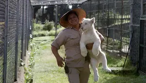 Dokter hewan Rodrigo Gutierrez Zecua membawa Anak singa putih berusia empat bulan di Kebun Binatang Altiplano di Tlaxcala, Meksiko, Selasa (7/8). (AP Photo/Rebecca Blackwell)