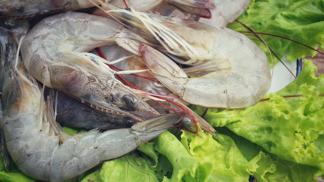 5 Tips Memasak Udang agar Tidak Bau Amis, Auto Lezat dan Bikin Nagih!