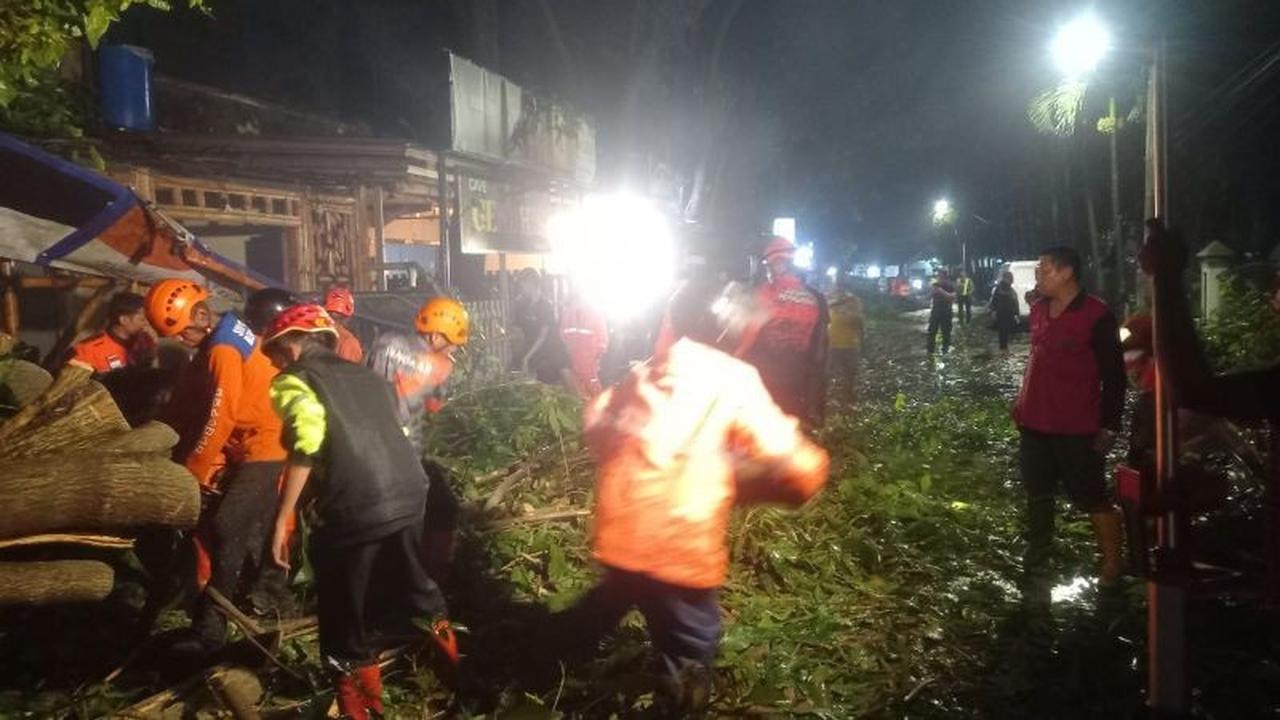 Cuaca Ekstrem Malang: BPBD Tangani Pohon Tumbang dan Banjir di Berbagai Titik