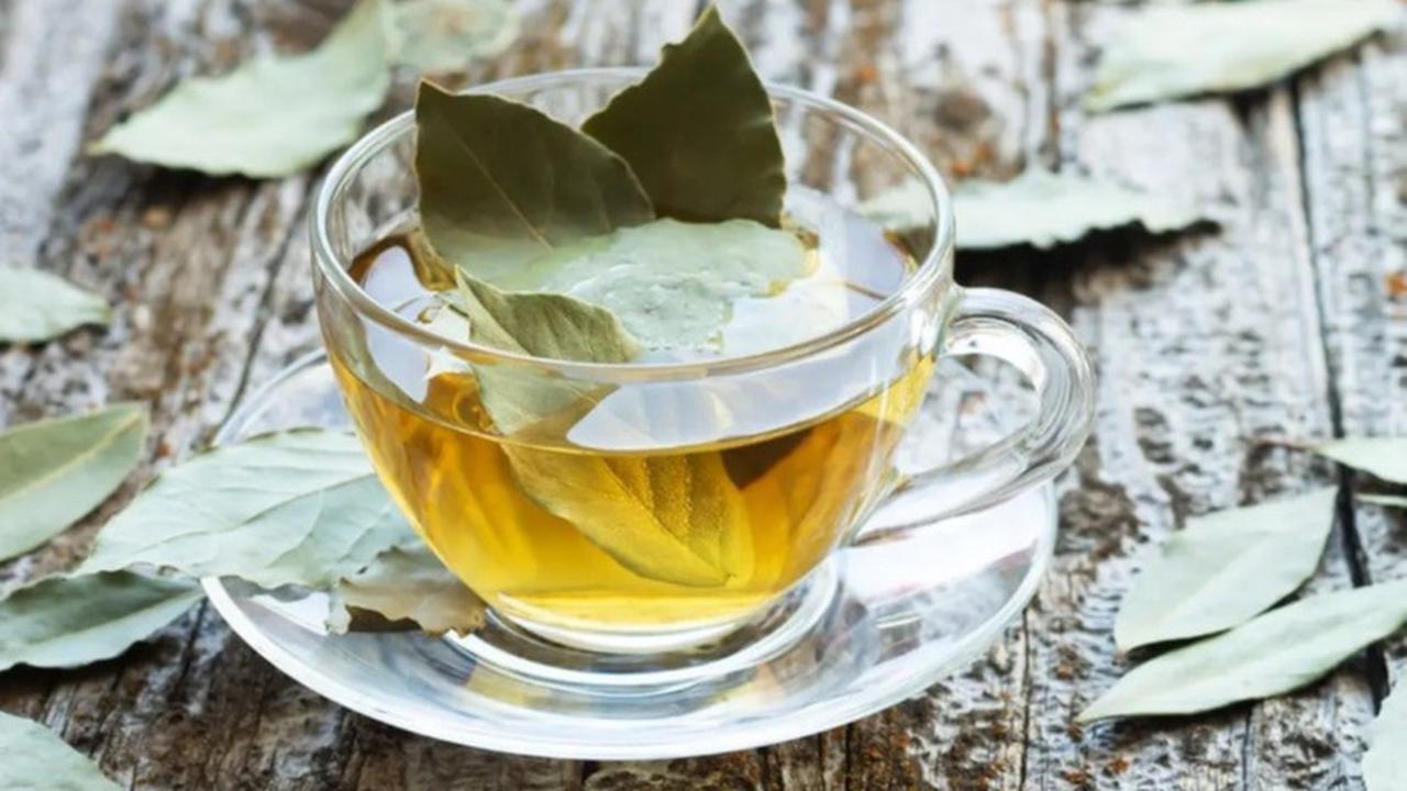 Manfaat Tersembunyi Tanaman Herbal untuk Kolesterol, Rahasia Alami Menurunkan Kadar Tinggi