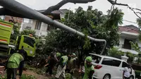 Sebuah mobil tertimpah lampu jalanan di kawasan jalan purworejo Menteng, Jakarta, Senin (27/11). Akibat hujan deras dan angin kencang sebuah pohon tumbang dan lampu jalan mengenai mobil Alphard putih yang terparkir. (Liputan6.com/Faizal Fanani)