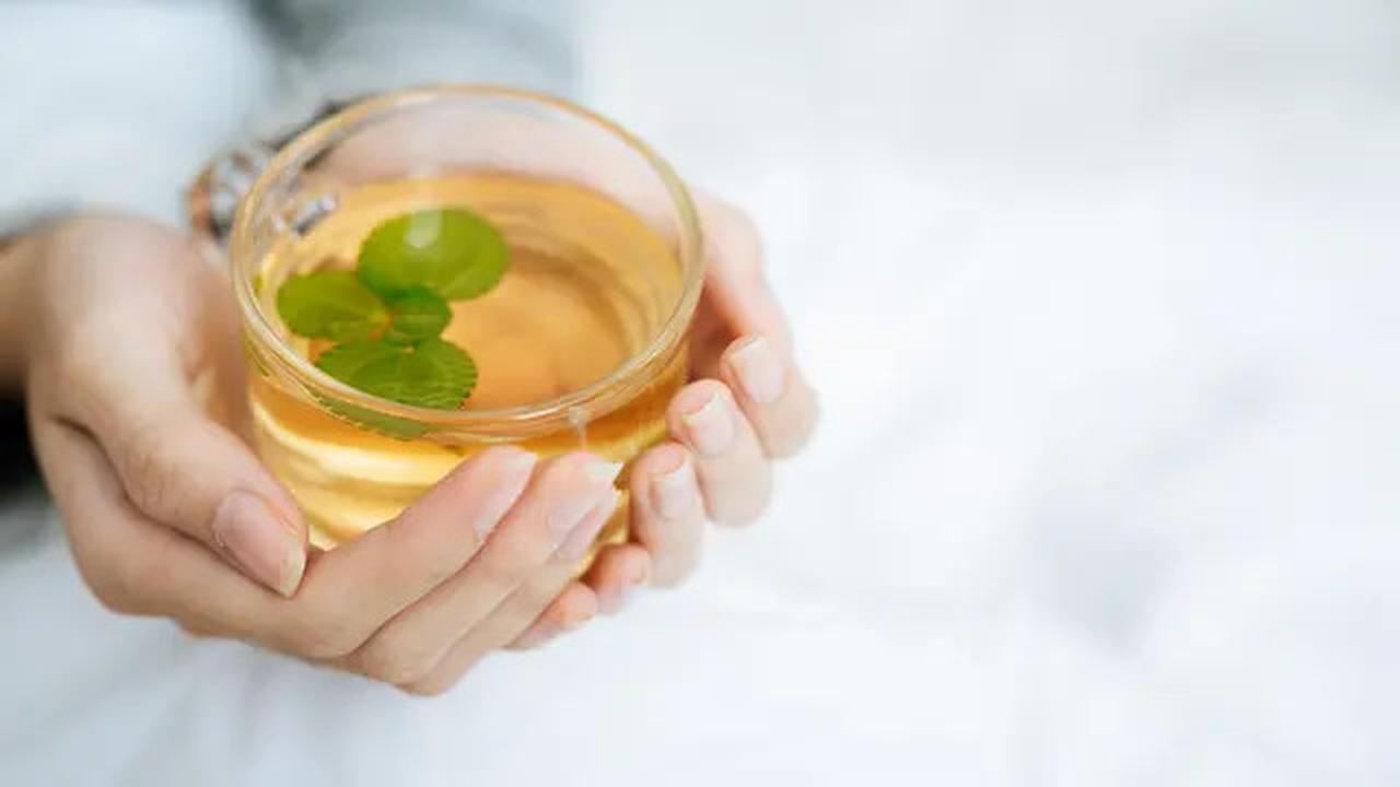 Cara Merebus Daun Mint untuk Atasi Masalah Pencernaan dan Menurunkan Berat Badan
