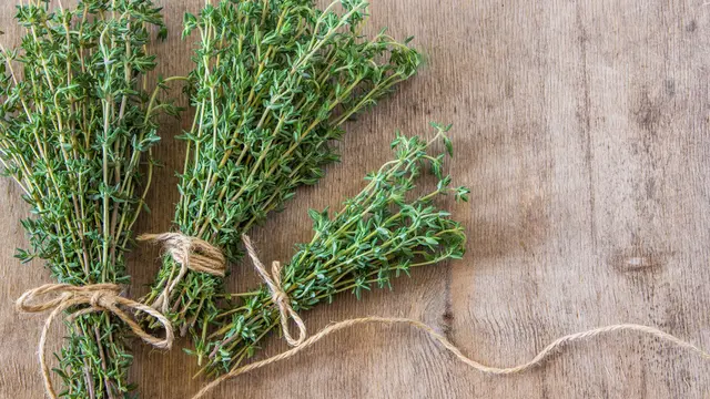 Thyme
