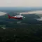 Brasil Tekan Deforestasi Amazon ke Level Terendah, Bukti Hutan Bisa Diselamatkan