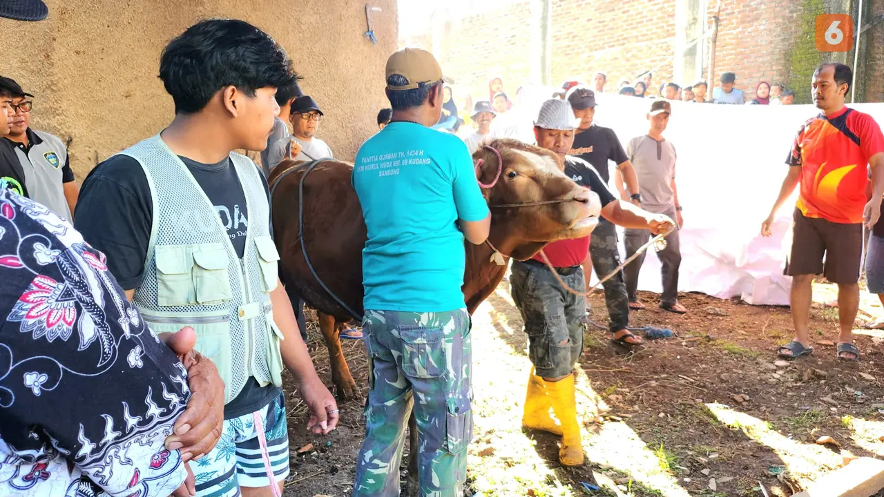 Idul Adha 1445 H Identik dengan Ibadah Kurban, Begini Sejarah dan Kisah di Baliknya