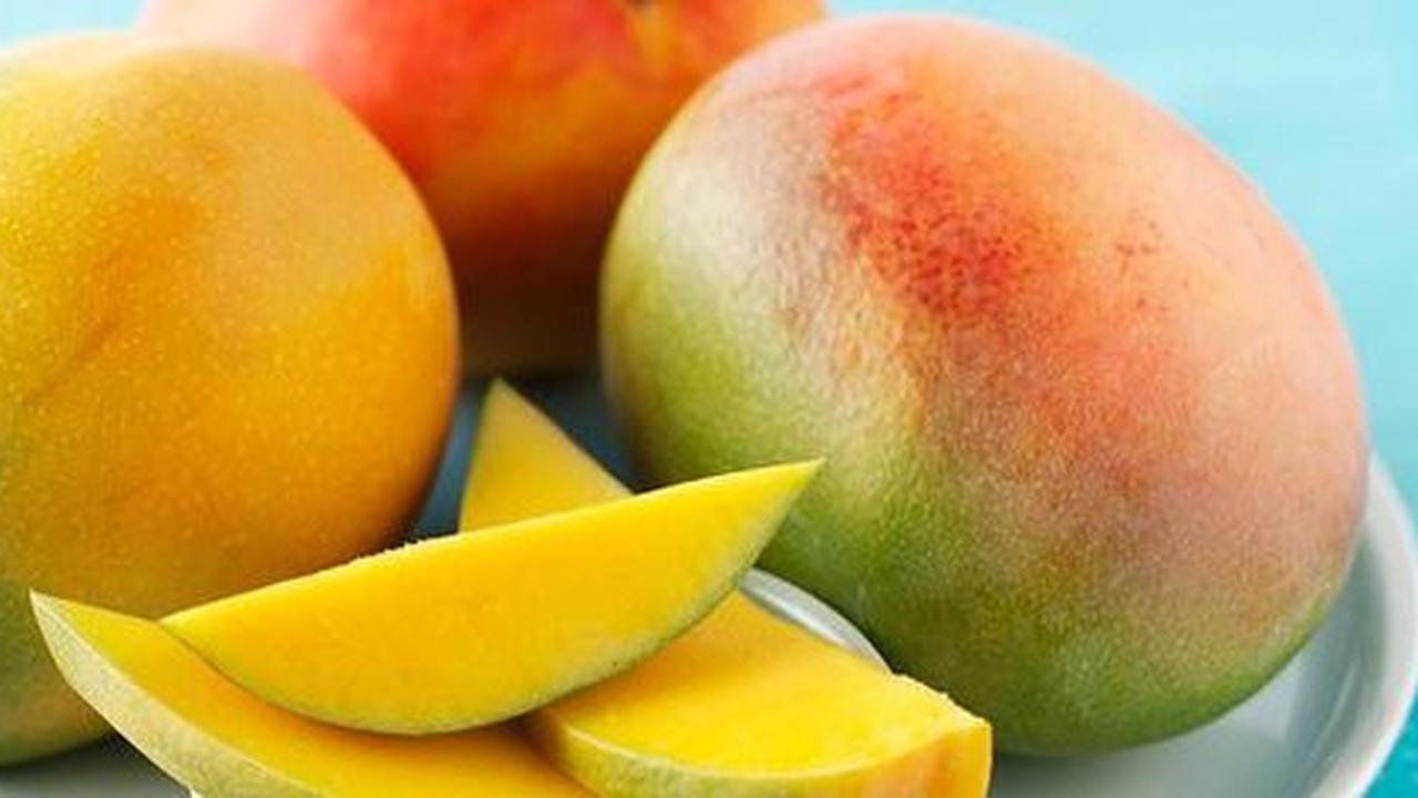 Mangga