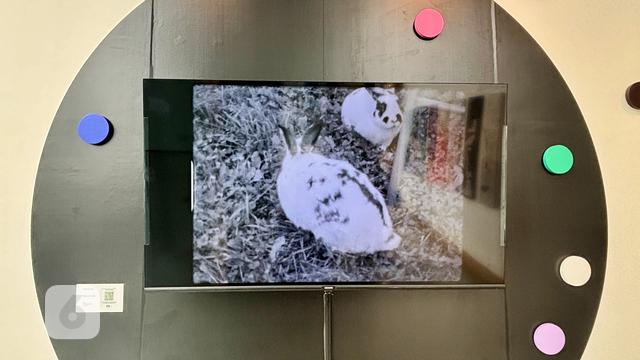 Ireland’s Eye 2025