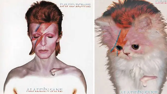 Gaya Kucing Saat Parodikan Cover Album Ini Bikin Gemes