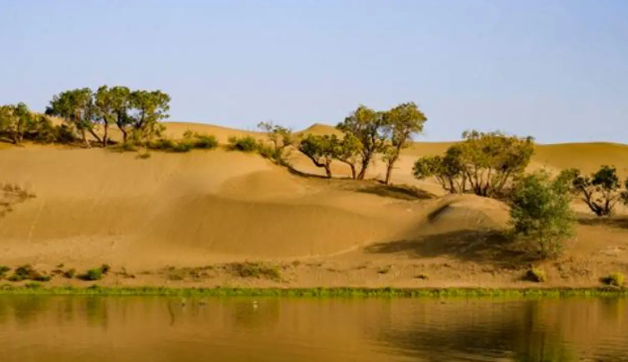 Pemandangan Danau Lop di wilayah Yuli, Daerah Otonom Uighur Xinjiang, China barat laut, 16 September 2020. (Xinhua/Zhao Ge)