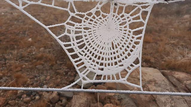 8 Potret Ini Mesti Anda Lihat Dua Kali Baru Bisa Paham