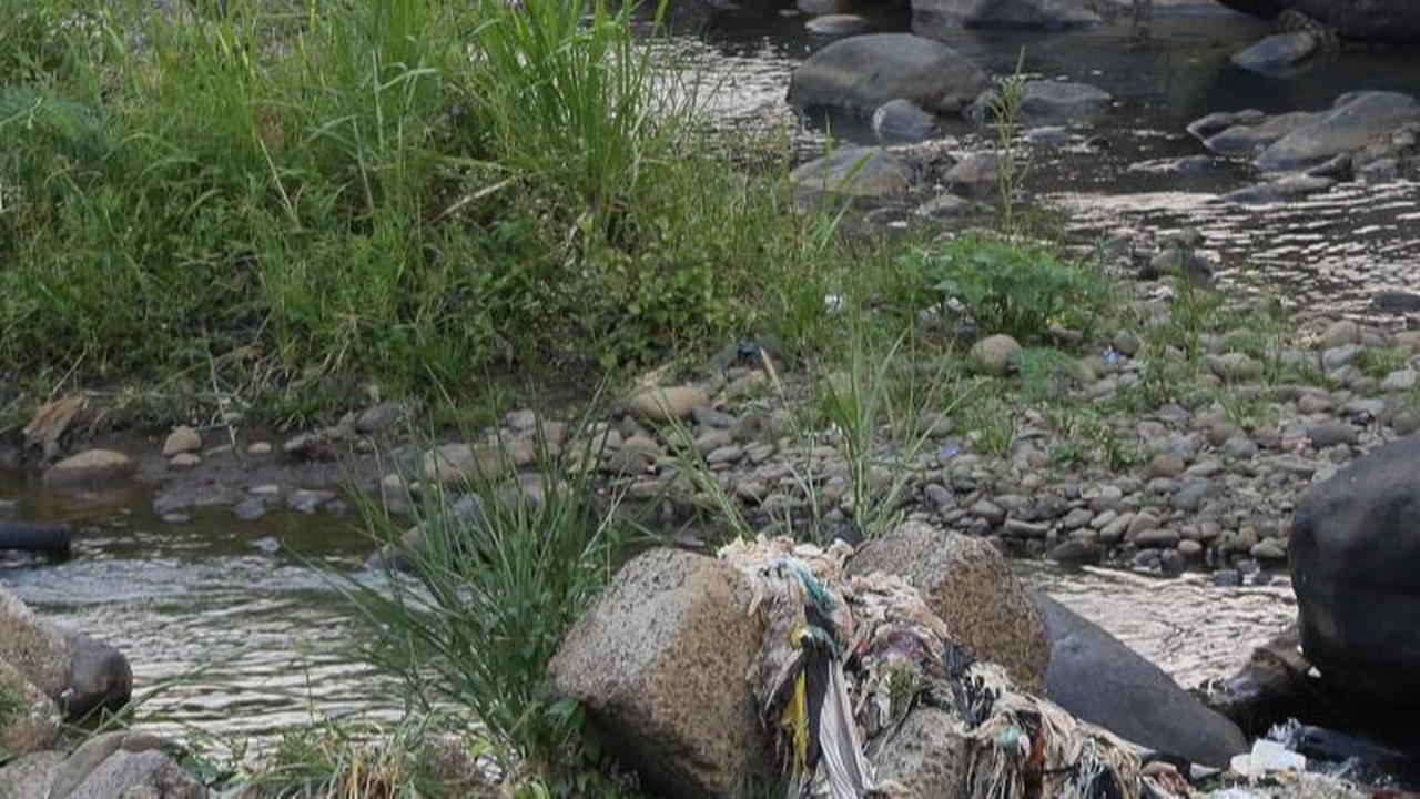 Selain itu pengairan debit air ke aliran utama Sungai Ciliwung juga mengalami penurunan dari yang sebelumnya sekitar 4000 liter per detik saat ini turun menjadi 200 liter per detik.
