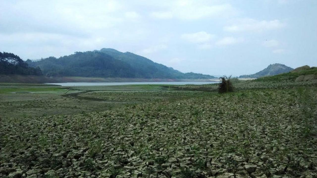 Ini waduk terbesar di Kebumen yang dilanda kekeringan parah
