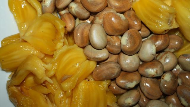 Jangan Buang Biji Nangka, Banyak Manfaat Kesehatannya