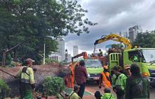 Layanan MRT Jakarta Kembali Normal Setelah Gangguan Pohon Tumbang di Jalur Senayan