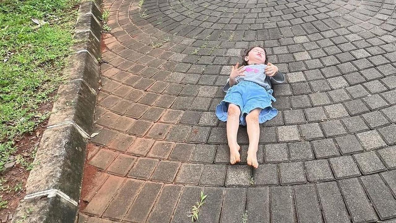 Asyik Tiduran di Tengah jalan