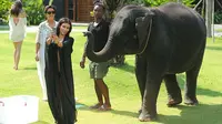 Selfie, Kim Kardashian Dikejar Gajah Thailand