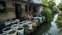 10 Ide Ternak Hewan Mini di Ember untuk IRT yang Rumahnya di Tepi Selokan