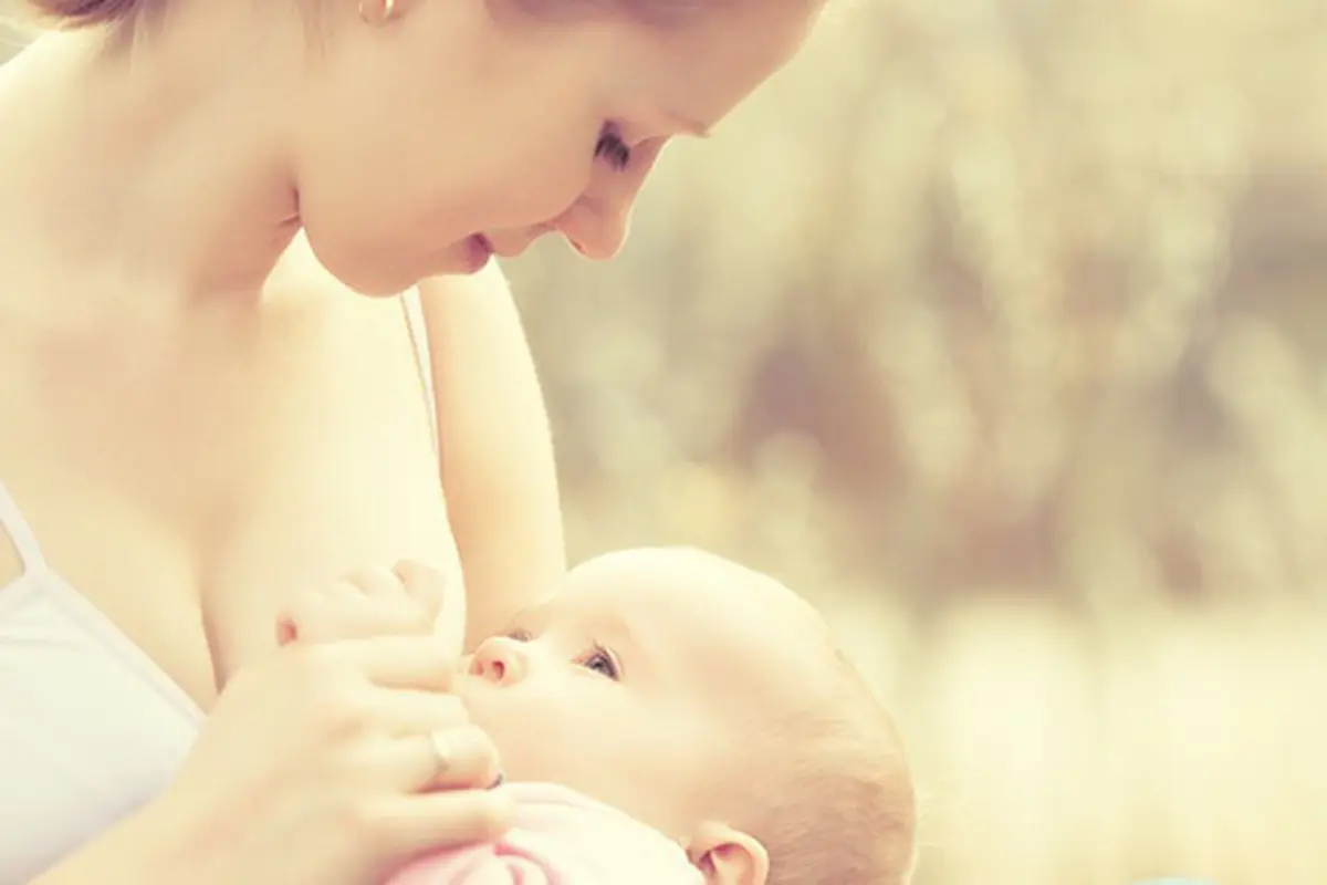Foto: Copyright Shutterstock.com