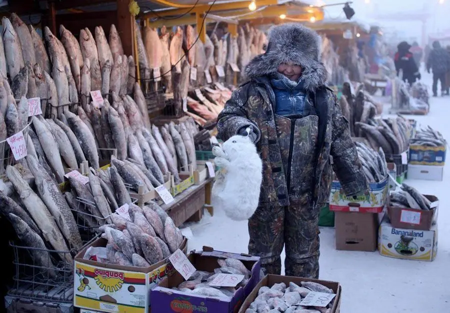 Pasar ikan di Omyakon, sang penjual ikan sedang menawarkan daging kelinci. Source: Amos Chapple/Rex Features