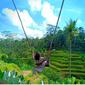 Tegalalang Rice Terrace di Ubud, Bali. (dok.Instagram @bali_beachclub/https://www.instagram.com/p/B6mqt1LFT4W/Henry)