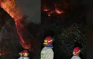 Api Melahap 1,3 Hektare Gunung Hatta Bandar Lampung