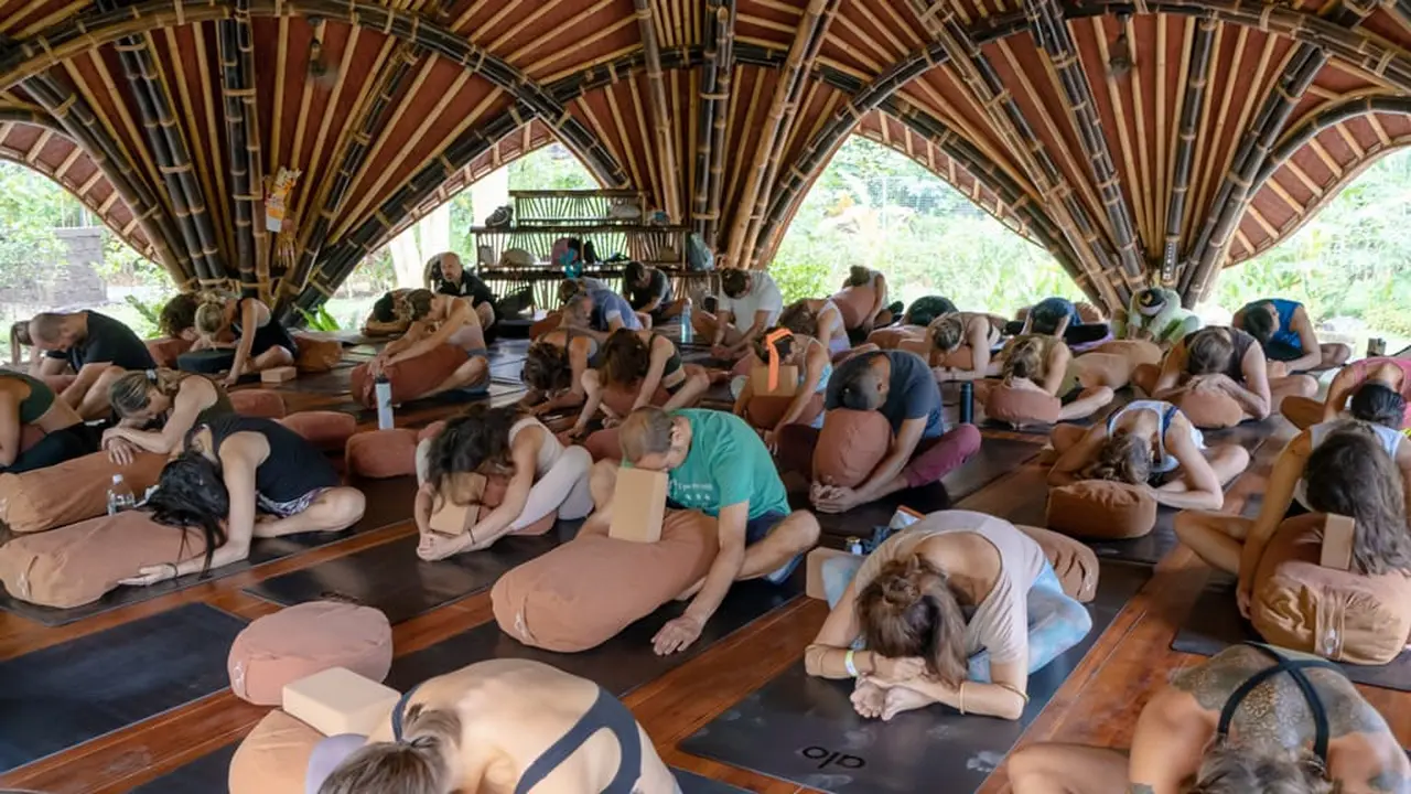 Alchemy Yoga and Meditation Center