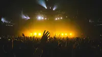 Bluesfest Ottawa 2026: Limp Bizkit to Gwen Stefani to Power Canada's Music Scene