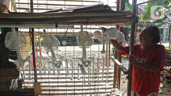 Pekerja menggantung kerangka tulang manusia di Cinangka, Depok, Jawa Barat, Rabu (11/12/2019). Manekin anatomi tubuh tersebut dijual dengan harga Rp 100 ribu hingga Rp 1 juta. (Liputan6.com/Herman Zakharia)