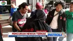 Tersangka menjalankan aksinya seorang diri dengan merusak kandang ternak dan menggiring hewan ternak itu ke suatu tempat.