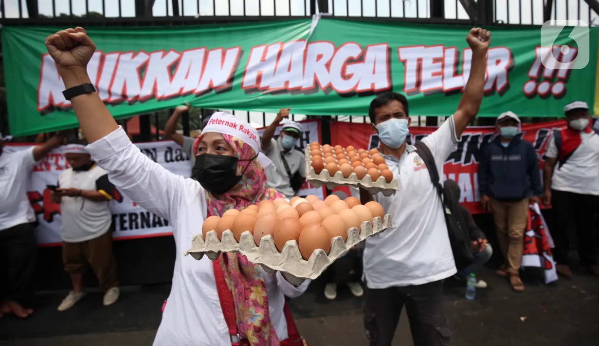 Peternak ayam membawa spanduk dan telur di berunjuk rasa di depan gedung MPR/DPR/DPD, Senayan, Jakarta, Senin (11/10/2021). Dalam aksinya Peternak ayam yang berasal dari Jawa Timur, dan Jawa Tengah menuntut kenaikan harga karna anjloknya harga telur ditingkat peternak. (Liputan6.com/Johan Tallo)