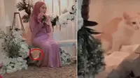 Ngakak, Viral Aksi Kucing Buang Air Saat Pemiliknya Tunangan