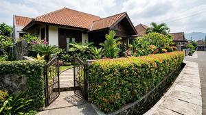 21 Jenis Tanaman untuk Pagar Hidup yang Cocok Mempercantik Rumah