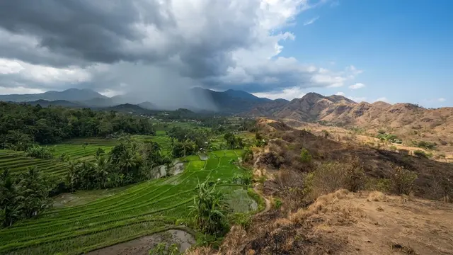 Angin Monsun Pembawa Hujan dan Kemarau