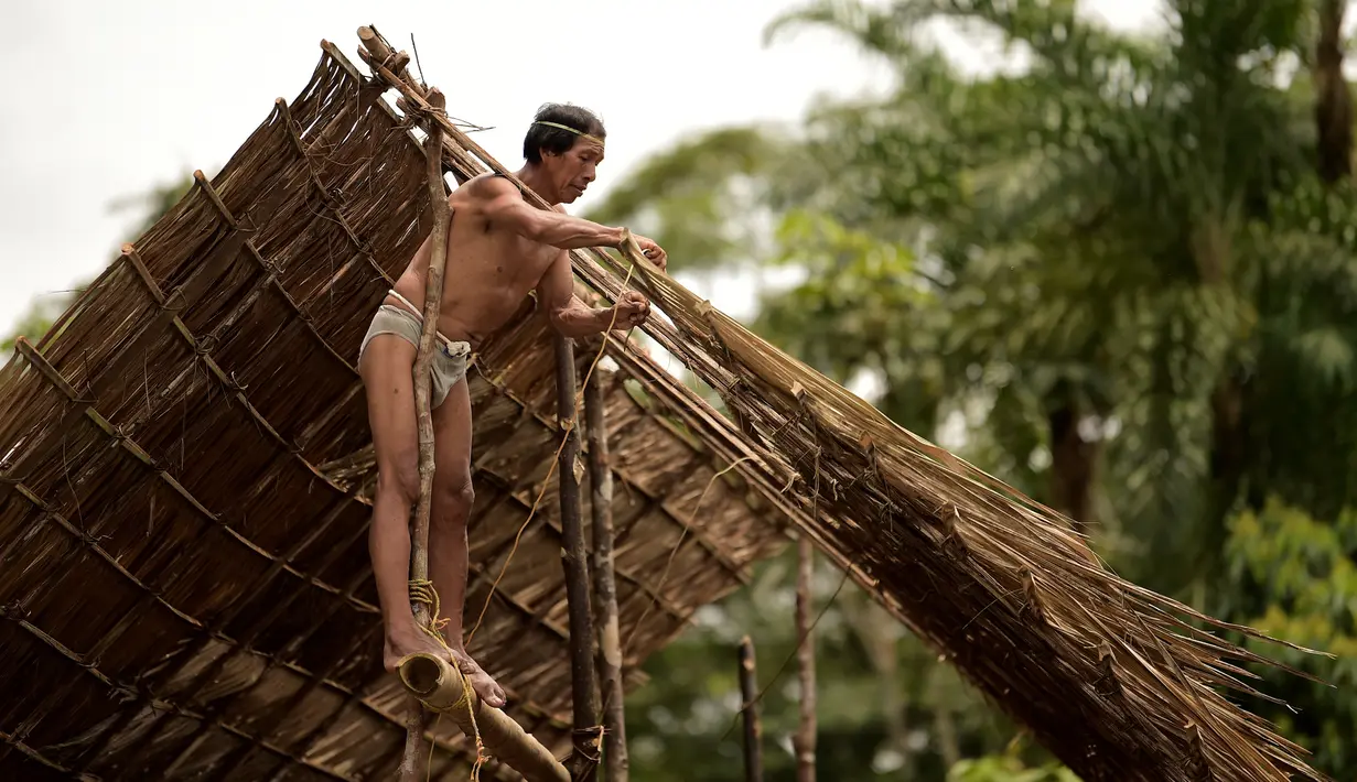 Penduduk asli Waorani, Tiri Nenquimo, membangun rumah tradisional di desa Nemompare, di tepi sungai Curaray, di provinsi Pastaza, Ekuador (14/4/2019). Suku Waorani dari Amazon Ekuador berdemo di depan pengadilan memprotes perusahaan minyak keluar dari wilayah mereka. (AFP Photo/Rodrigo Beundia)